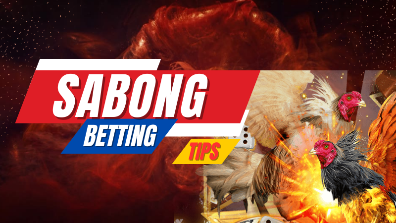 3 Essential Online Sabong Tips for a High Win Rate