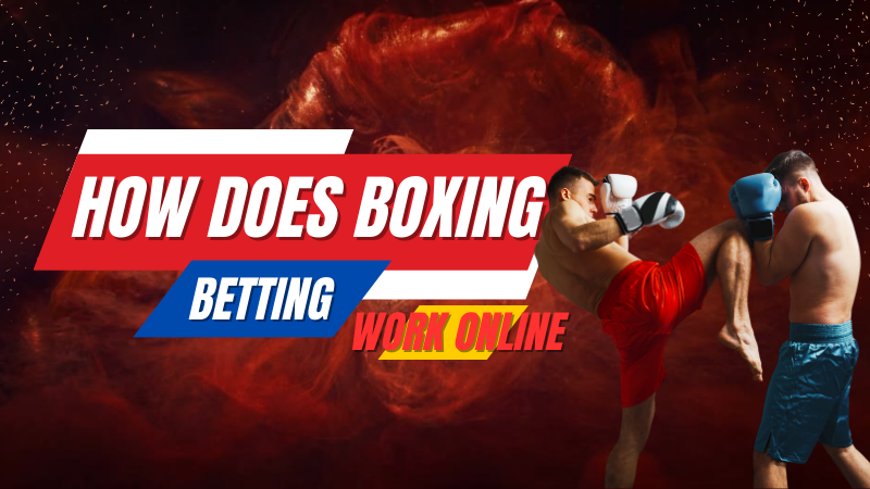 Best Detailed Guide on How Does Boxing Betting Work Online